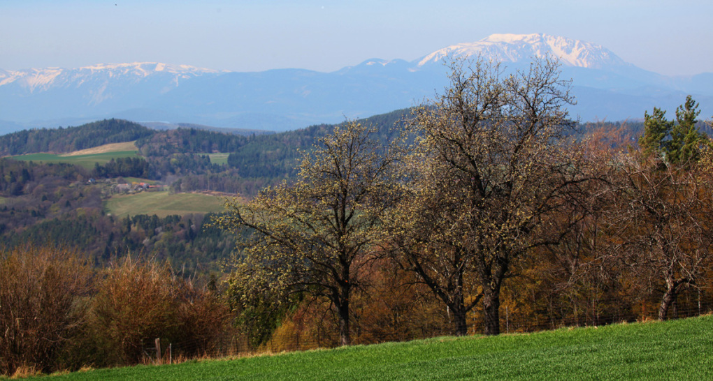 Blick über den Alpenostrand vom Geyreck aus