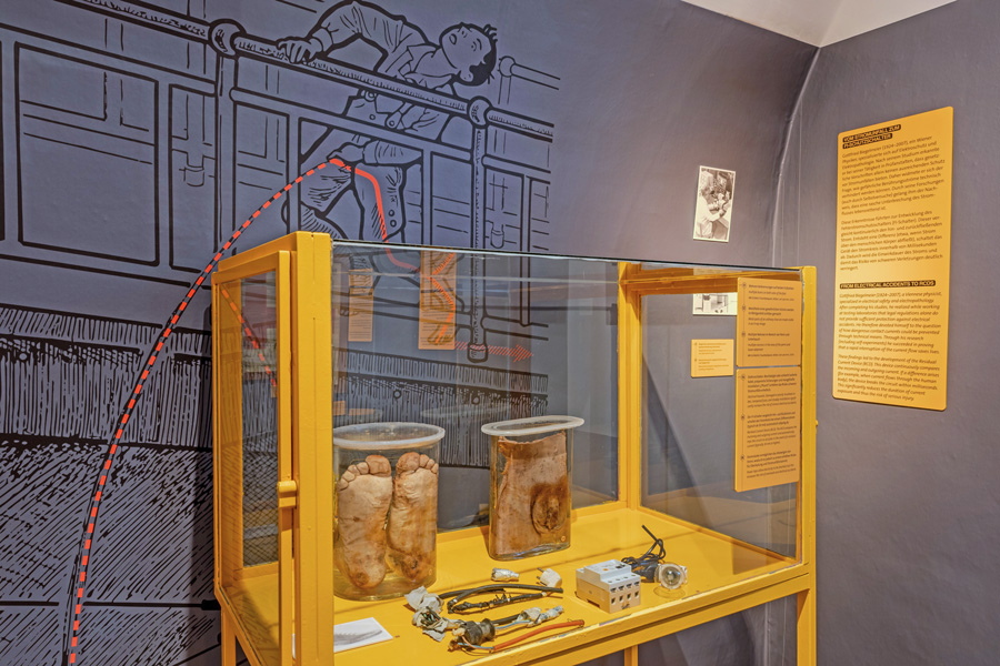 Vorsicht Hochspannung, Ausstellungsansicht © NHM Wien, Chloe Potter