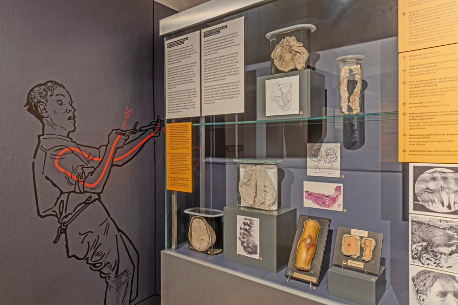Vorsicht Hochspannung, Ausstellungsansicht © NHM Wien, Chloe Potter