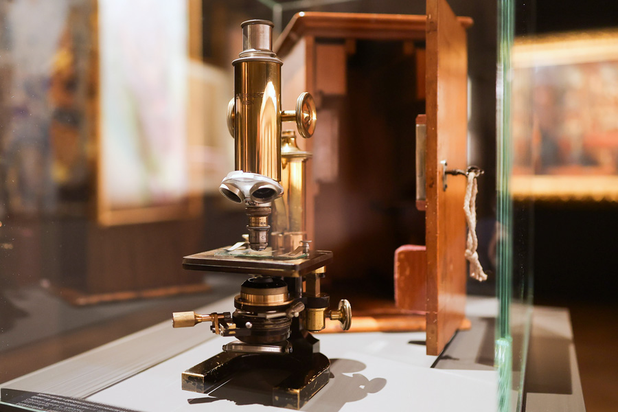 Klimt und die Medizin, Ausstellungsansicht © Daniel Hinterramskogler