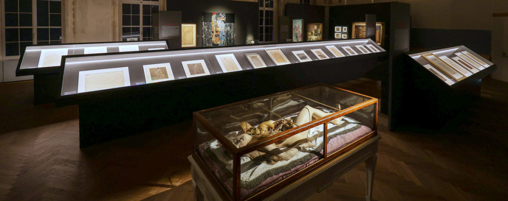 Klimt und die Medizin, Ausstellungsansicht © Daniel Hinterramskogler