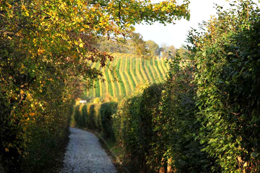 Das Fuhrgassl in Neustift