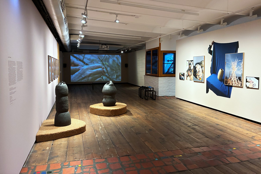 Seeds. Reclaiming Roots, Sowing Futures, Ausstellungsansicht